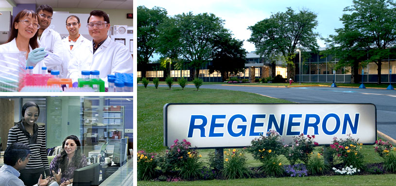 5 Life Science Companies You Definitely Want to Work For: Regeneron