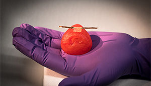 3D printed organ models University of Minnesota